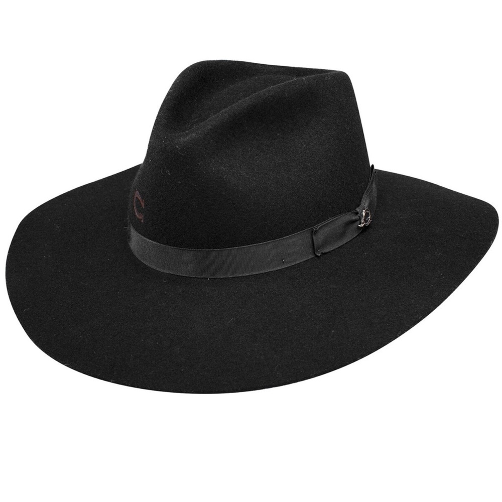 Charlie 1 Horse Women’s Wool Hat